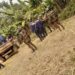 2 unarmed tribals killed during Bangladesh Army operation at Chittagong Hill Tracts