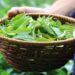 25th FAO IGG on Tea from January 31 to February 2 in Guwahati