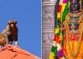 Monkey’s ‘divine’ entry into Ayodhya’s Ram Temple sparks spiritual wonder