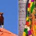 Monkey’s ‘divine’ entry into Ayodhya’s Ram Temple sparks spiritual wonder