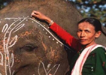 Parbati Baruah, India’s first female elephant mahout among 34 Padma Shri awardees