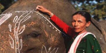 Parbati Baruah, India’s first female elephant mahout among 34 Padma Shri awardees