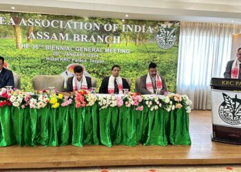 Assam tea industry charts course at TAI’s 36th Biennial General Meeting in Tezpur