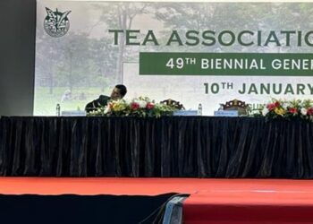 Tea Association of India urges strategic shift in industry amidst economic strides