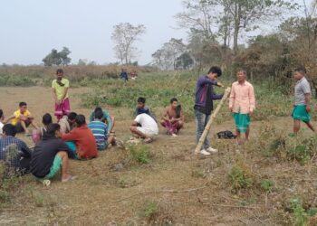 Assam’s Kokrajhar installs 11 km solar-powered fence to shield 17 villages against HEC