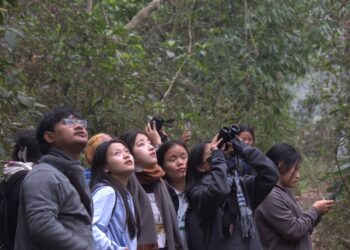 900 birds of 35 species recorded at 4-day bird-watching camp in Arunachal’s Pasighat
