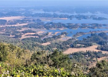 World Wetland Day 2024