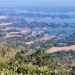 World Wetland Day 2024