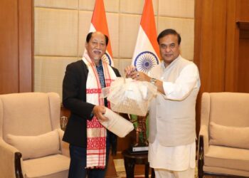 2nd meet in 20 days: Nagaland CM engages Assam counterpart for regional progress