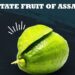 Assam’s GI-tagged ‘Kaji Nemu’ crowned state fruit