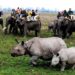 Celebrating 50 years of conservation: Kaziranga National Park marks golden jubilee
