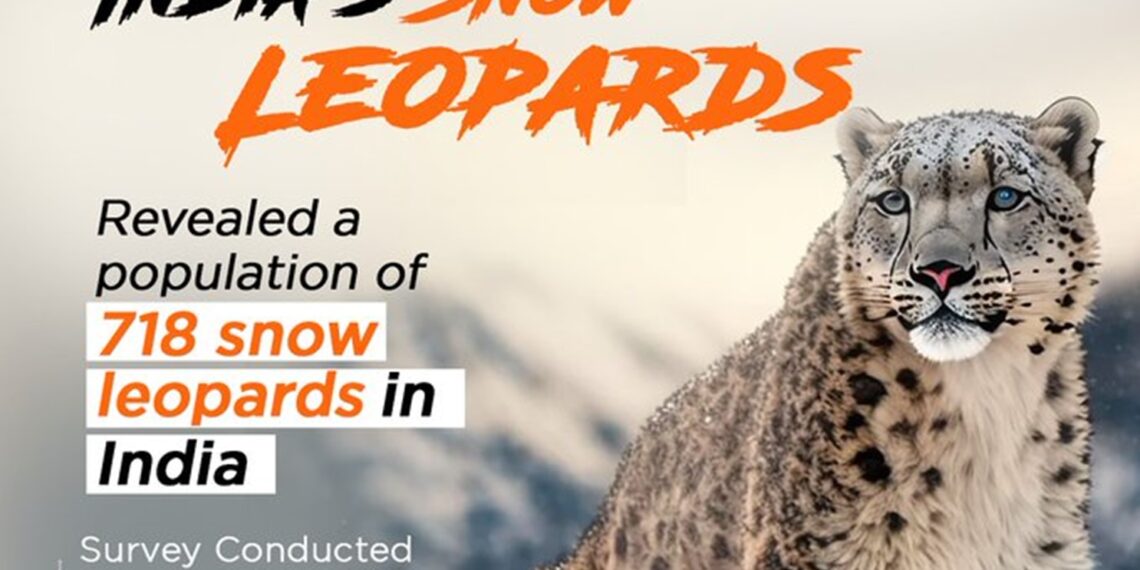 Snow Leopards census: Arunachal haven with 36, nationwide count hits 718