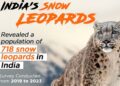 Snow Leopards census: Arunachal haven with 36, nationwide count hits 718
