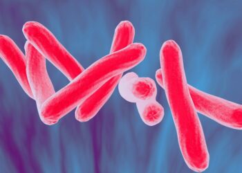 Why have TB eradication efforts been so slow?