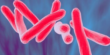 Why have TB eradication efforts been so slow?