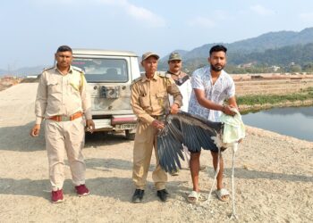 Assam’s Greater Adjutant stork conservation efforts receive a boost on World Wildlife Day