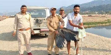 Assam’s Greater Adjutant stork conservation efforts receive a boost on World Wildlife Day