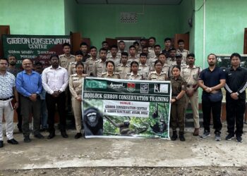 Training to equip forest frontline staff in Hoolock Gibbon conservation underway in Assam’s Jorhat
