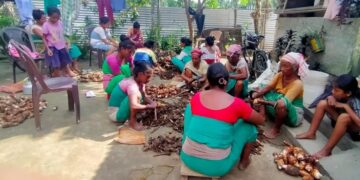 Women leading charge against human-elephant conflict in Assam