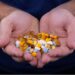 Centre forms five-member committee to oversee drug pricing reforms