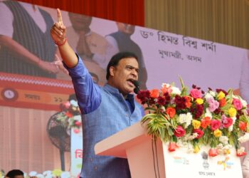 Assam CM forecasts few citizenship applications amidst anti-CAA protests