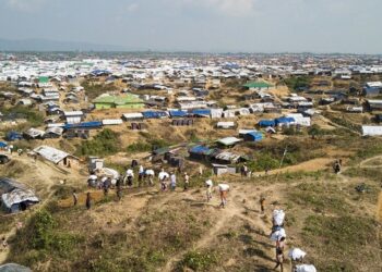 Why the Rohingya are being treated the way they are