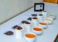 Tea-tasting course in Assam’s Chang’s Garden & Resort invites applicants