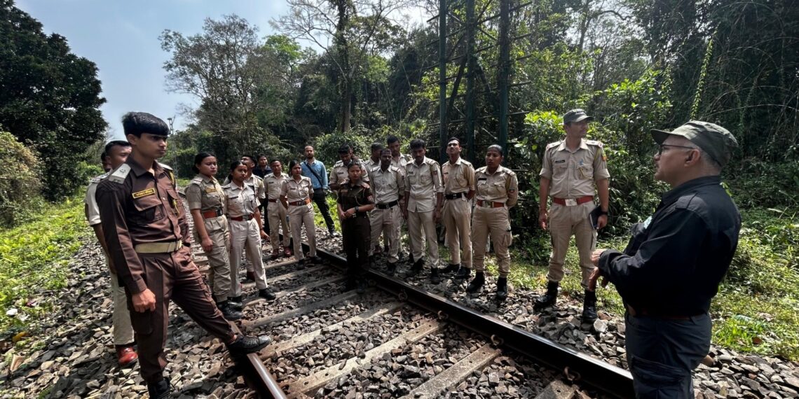 Forest officials in Assam’s Jorhat trained for Hoolock Gibbon conservation