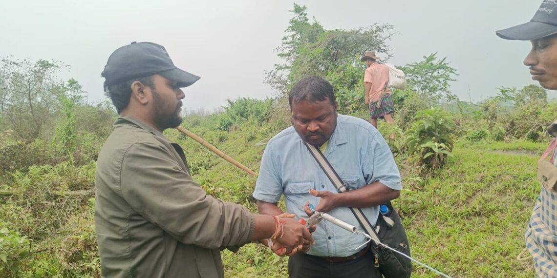 2.3-km solar-powered fence installed to mitigate human-elephant conflict in Assam’s Sadiya