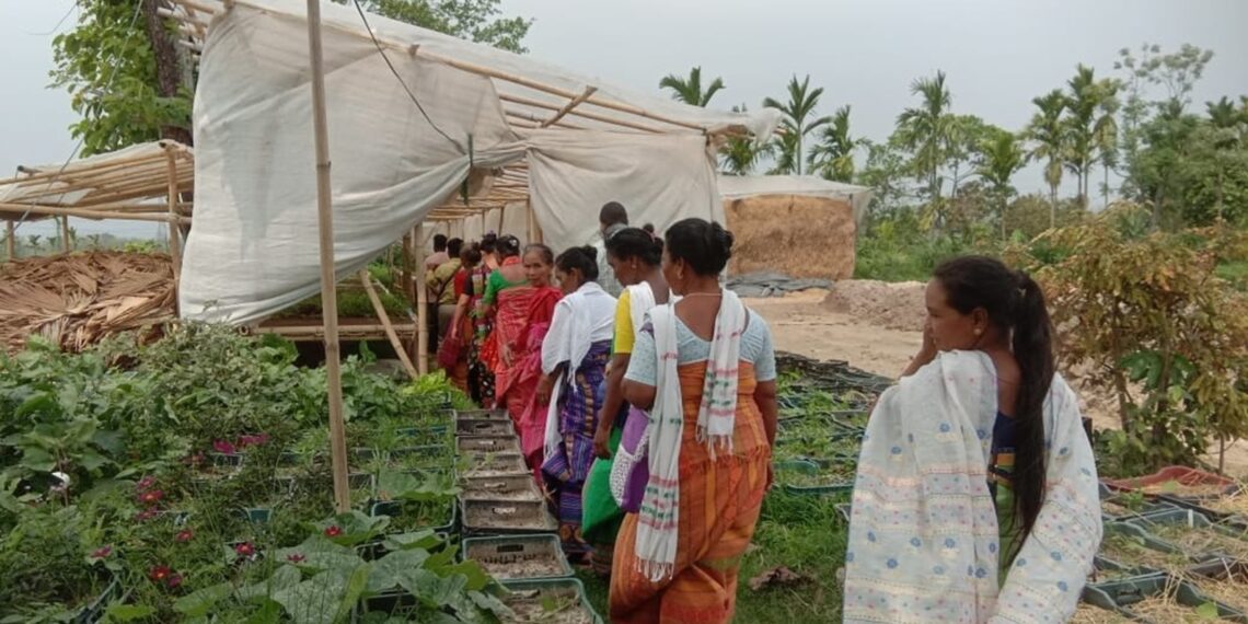 HEC-affected women in Assam’s Udalguri receive training on sustainable farming