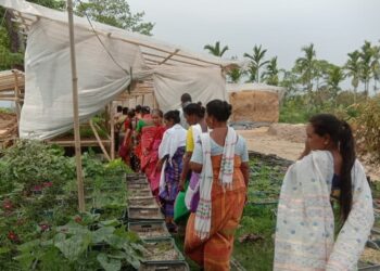 HEC-affected women in Assam’s Udalguri receive training on sustainable farming