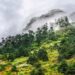 5 Northeastern states account for 60% of tree cover loss in India since 2001: GFW Report