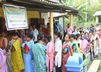 Seven constituencies in Northeast record 33% turnout by 11 am; Tripura leads with 36.42%