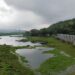 Gauhati High Court halts govt’s Deepor Beel denotification move, freezes on-site construction