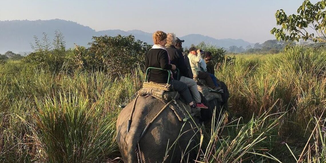 At 3.27 L, Kaziranga National Park reports highest ever tourist footfall in 2023-24