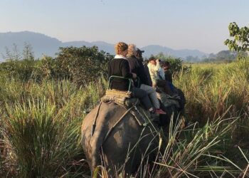 At 3.27 L, Kaziranga National Park reports highest ever tourist footfall in 2023-24