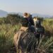 At 3.27 L, Kaziranga National Park reports highest ever tourist footfall in 2023-24