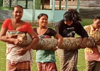 Solar fence brings peace, cultural revival to HEC-hit Koch village in Assam’s Goalpara