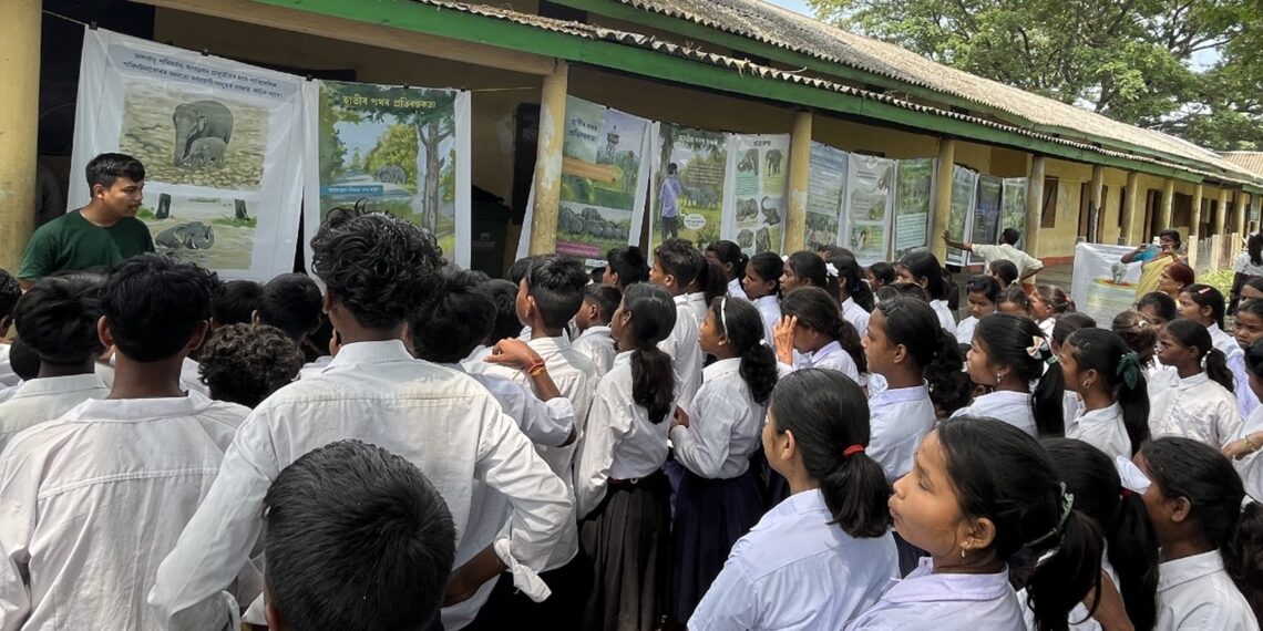 Schools in Assam’s Tinsukia participate in educational campaigns on human-elephant conflict