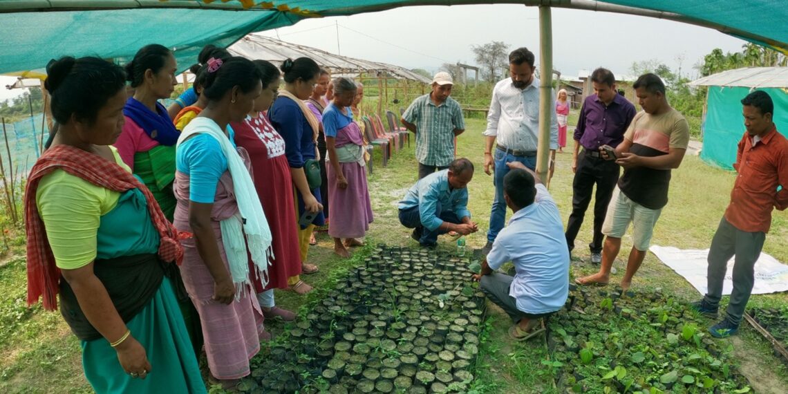 Human-elephant conflict-affected women in Assam’s Udalguri trained on nursery management