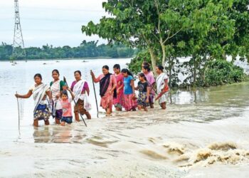 Cyclone Remal aftermath: Floods ravage Assam, over 40,000 affected