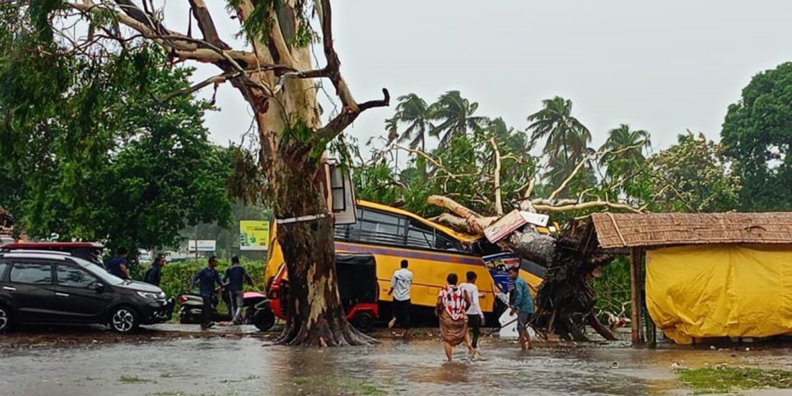 Assam on alert: Cyclone Remal claims student’s life, dozens injured; CM urges precaution