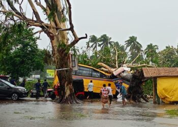 Assam on alert: Cyclone Remal claims student’s life, dozens injured; CM urges precaution