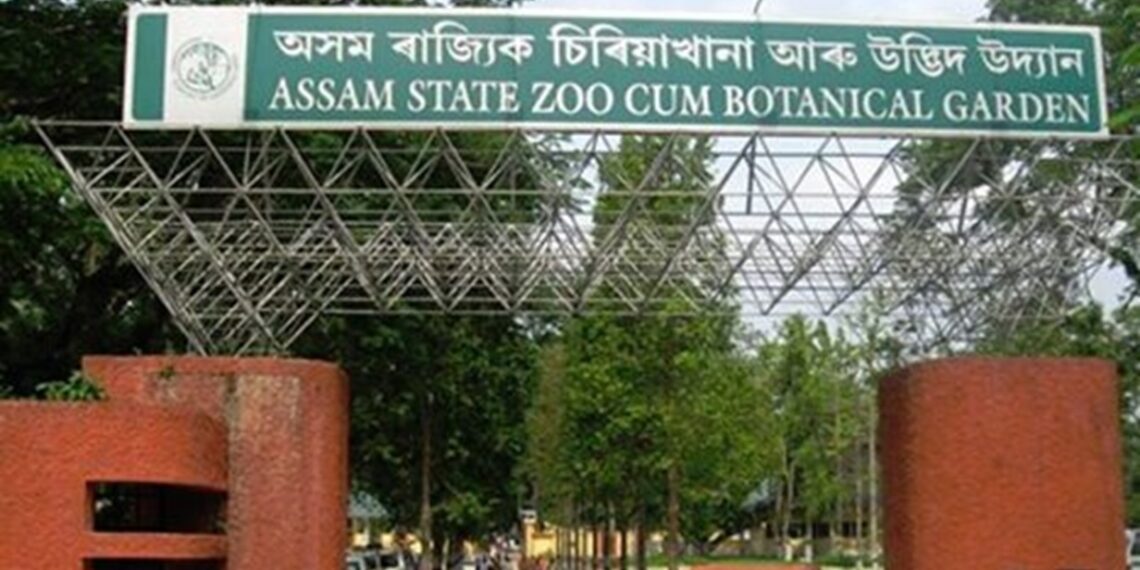 Rising tempartures halt animal exchange programme between Delhi Zoo & Assam