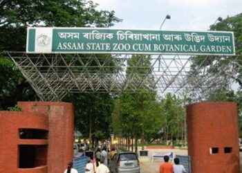 Rising tempartures halt animal exchange programme between Delhi Zoo & Assam