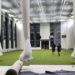 BCCI lays foundation stone for state-of-art indoor cricket facility in Northeast