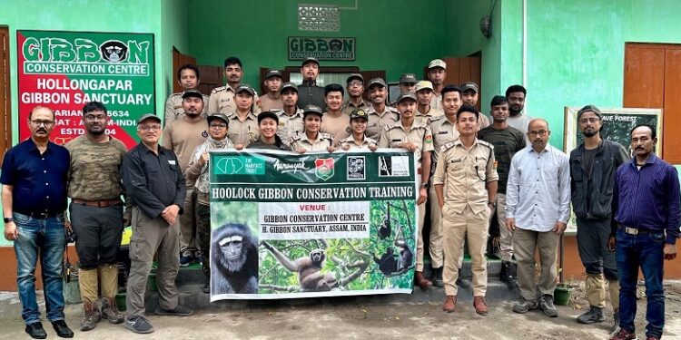 Assam foresters’ training on Hoolock gibbon conservation - Northeast ...