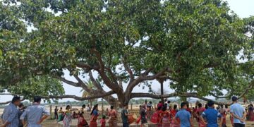 Celebrating Heritage: Meghalaya’s Koch community comes together for Pabuni Puja