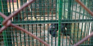 Animals in Shillong’s Lady Hydari Park to be relocated to new Meghalaya state zoo by June