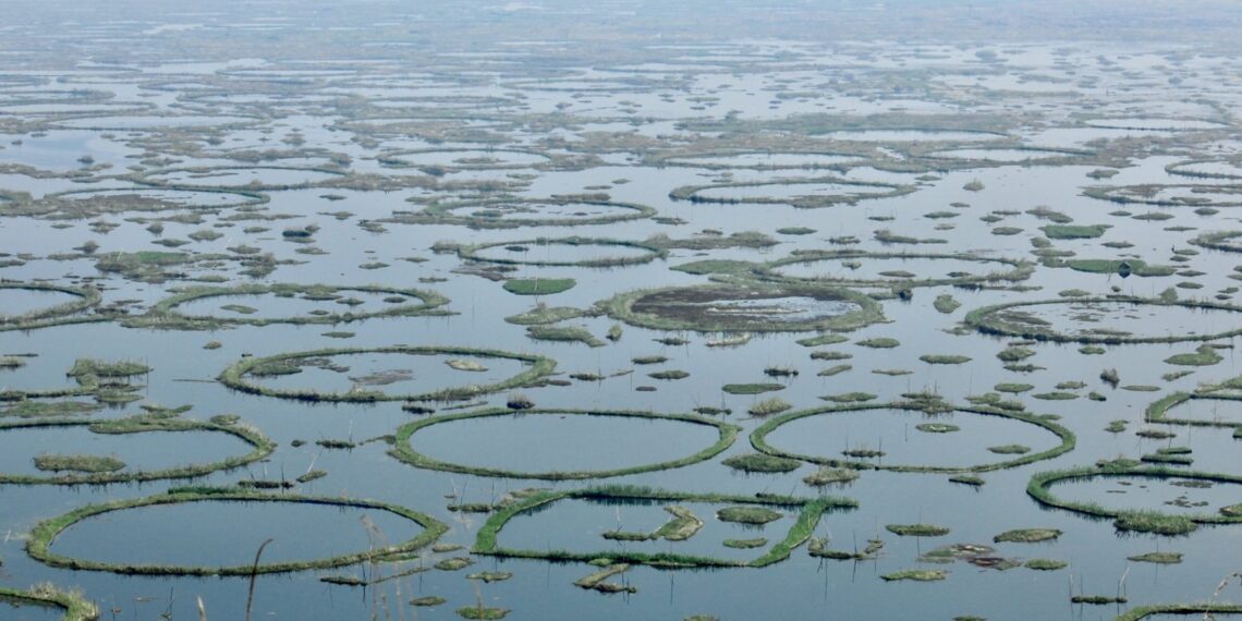 Heed the Sangai call; hold hands as do the Phumdis